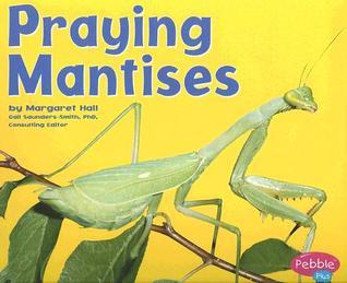 Praying Mantises book cover