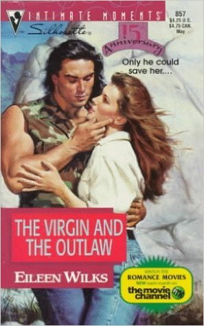The Virgin and the Outlaw book cover