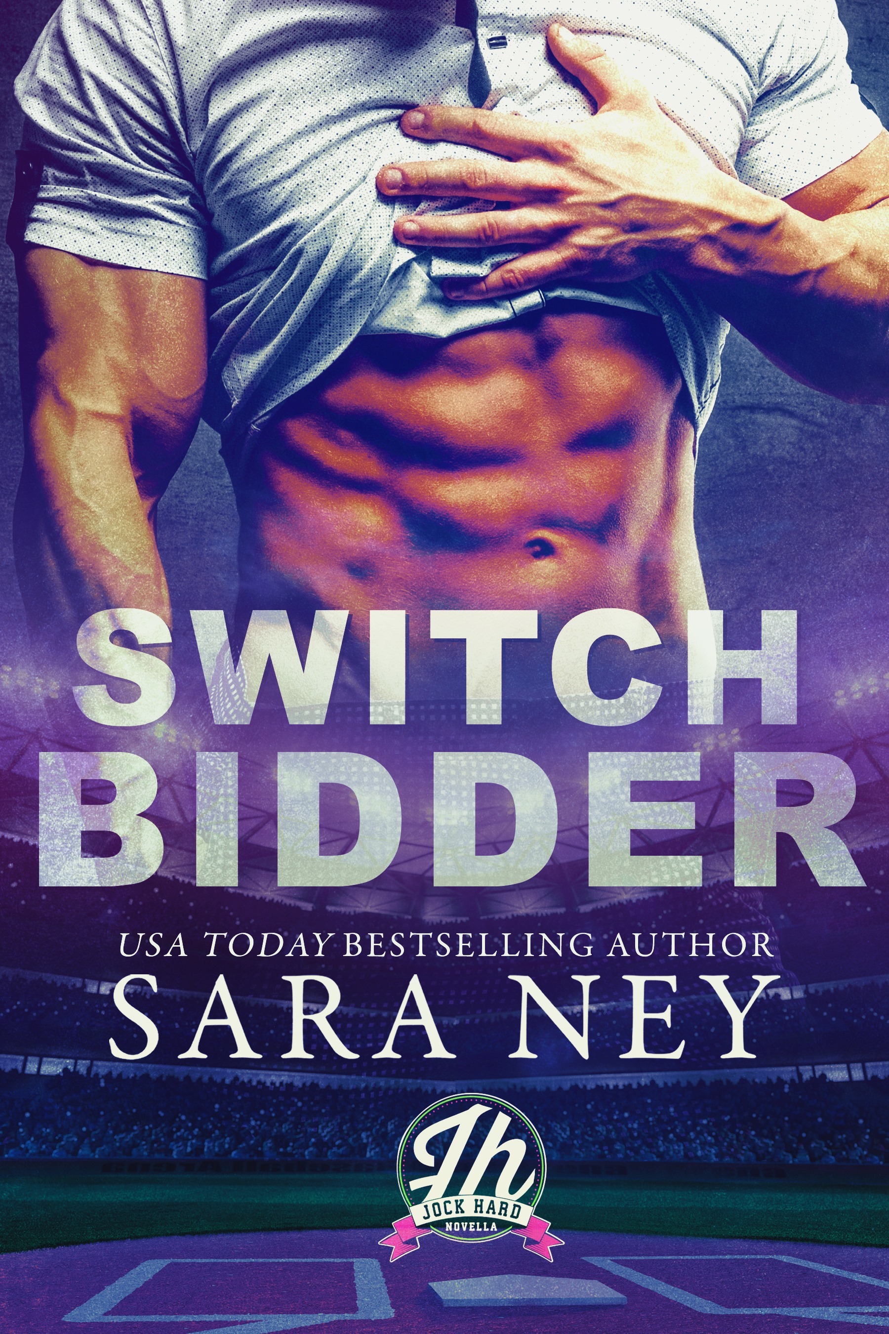 Switch Bidder book cover