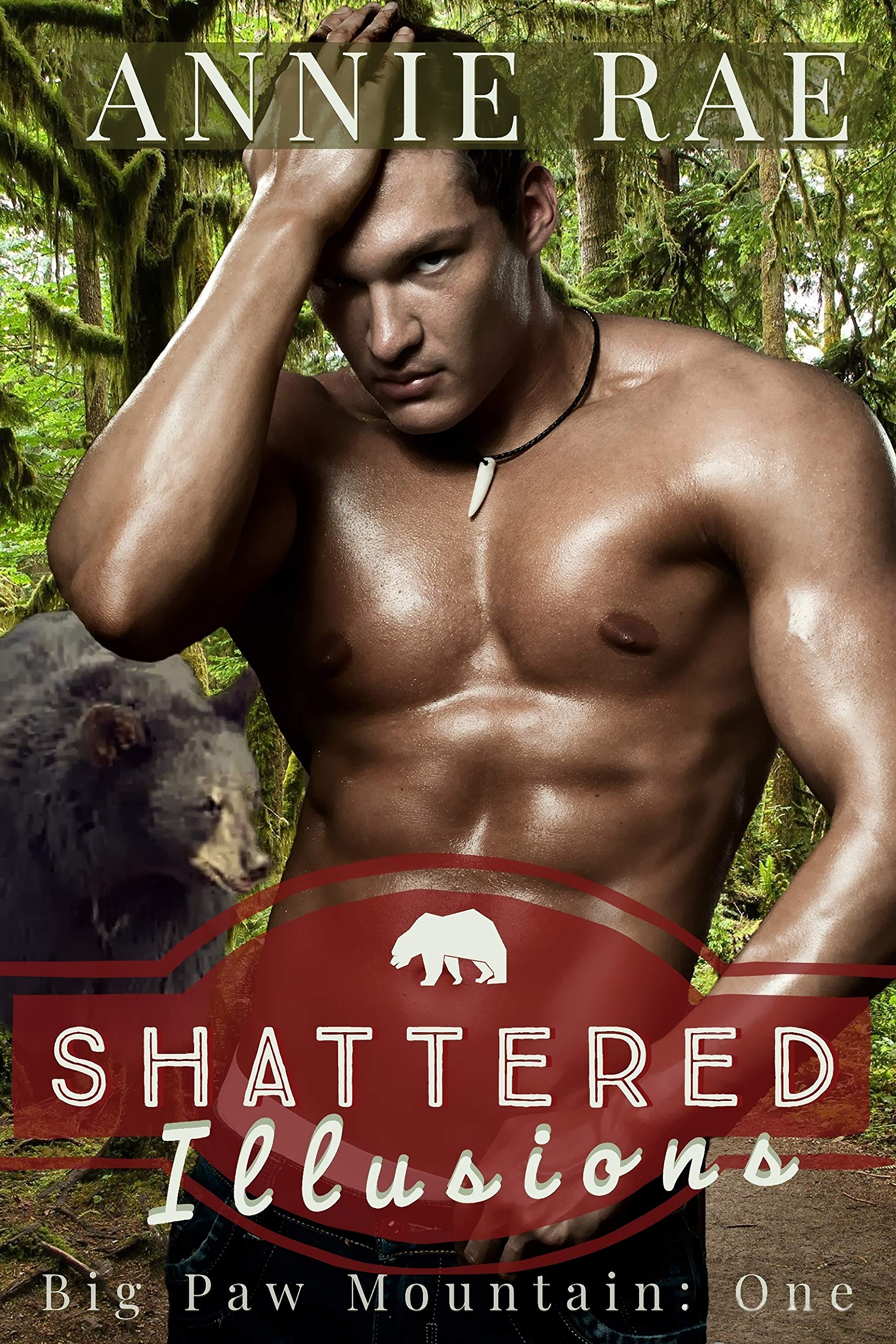 Shattered Illusions book cover