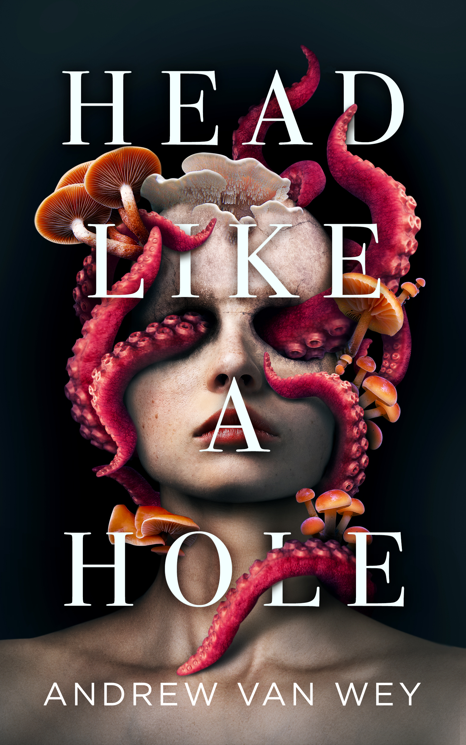 Head Like a Hole book cover