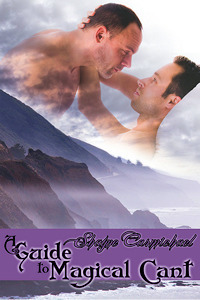 Aurora book cover 1