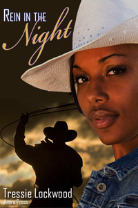 Rein in the Night book cover