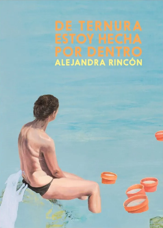 De ternura estoy hecha por dentro book cover