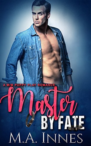 The Accidental Master book cover 3
