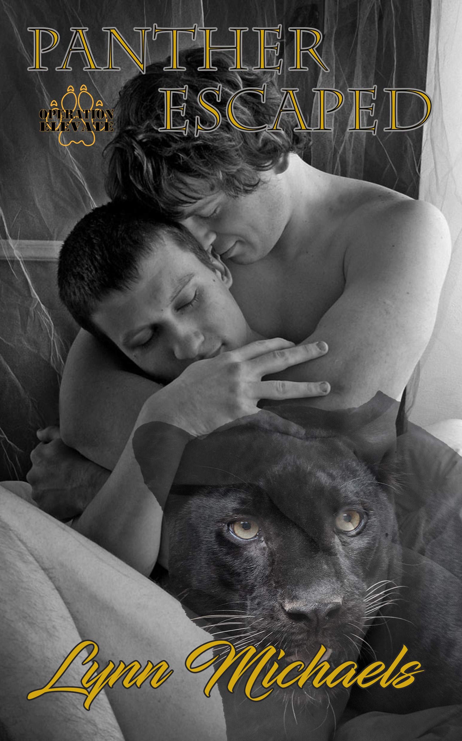 Operation Elevate book cover 2