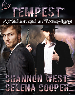 A Medium and an Extra Large book cover 2