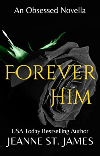 Obsessed book cover 1