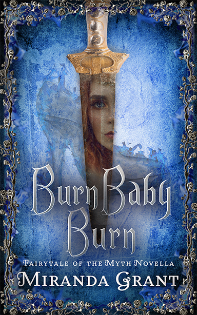 Burn Baby Burn book cover
