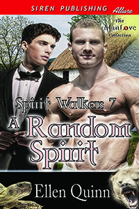 A Random Spirit book cover