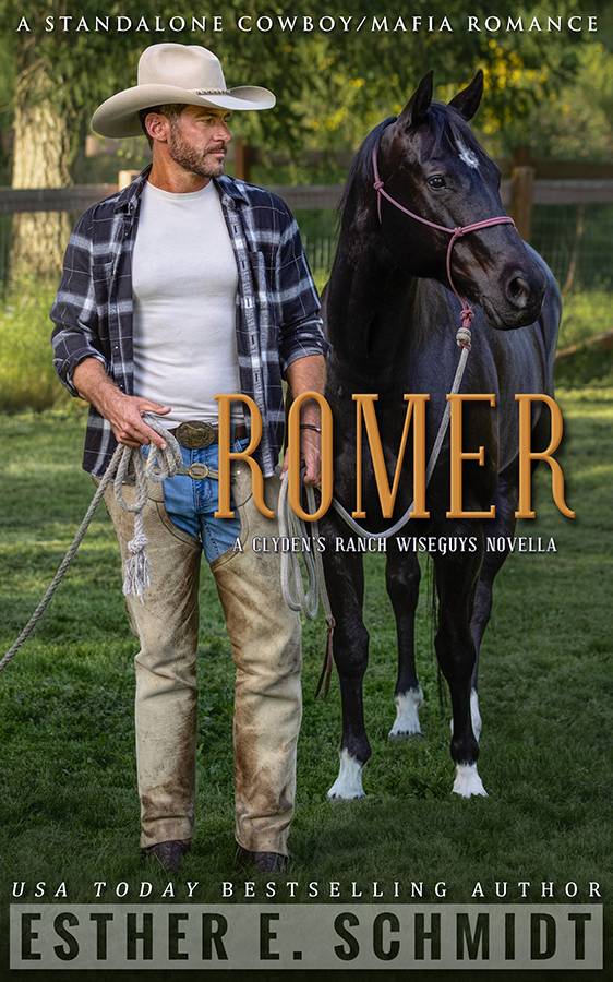 Romer book cover