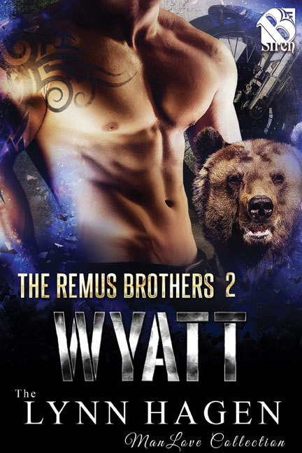 The Remus Brothers book cover 2