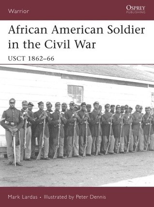 African American Soldier in the Civil War book cover