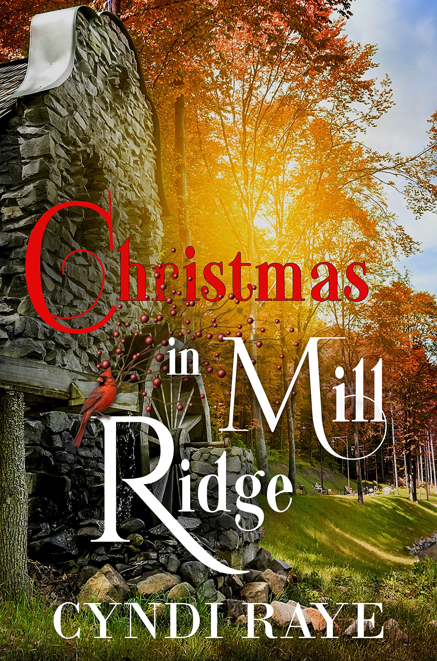 Christmas in Mill Ridge book cover
