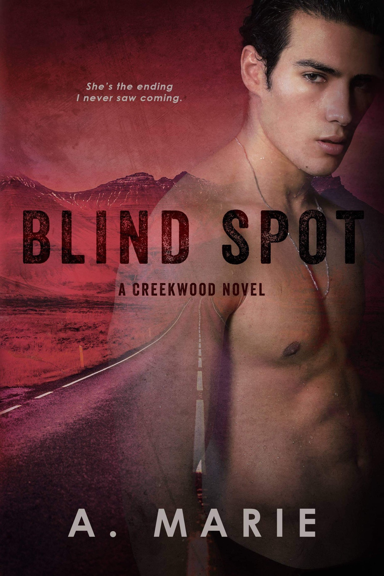 Blind Spot book cover