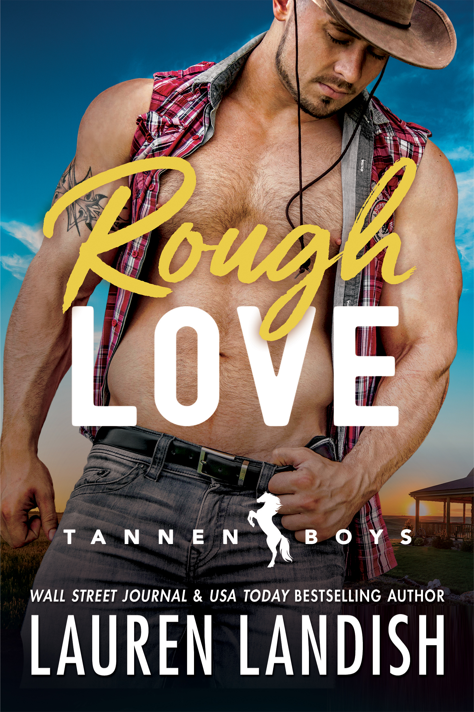 Tannen Boys book cover 1