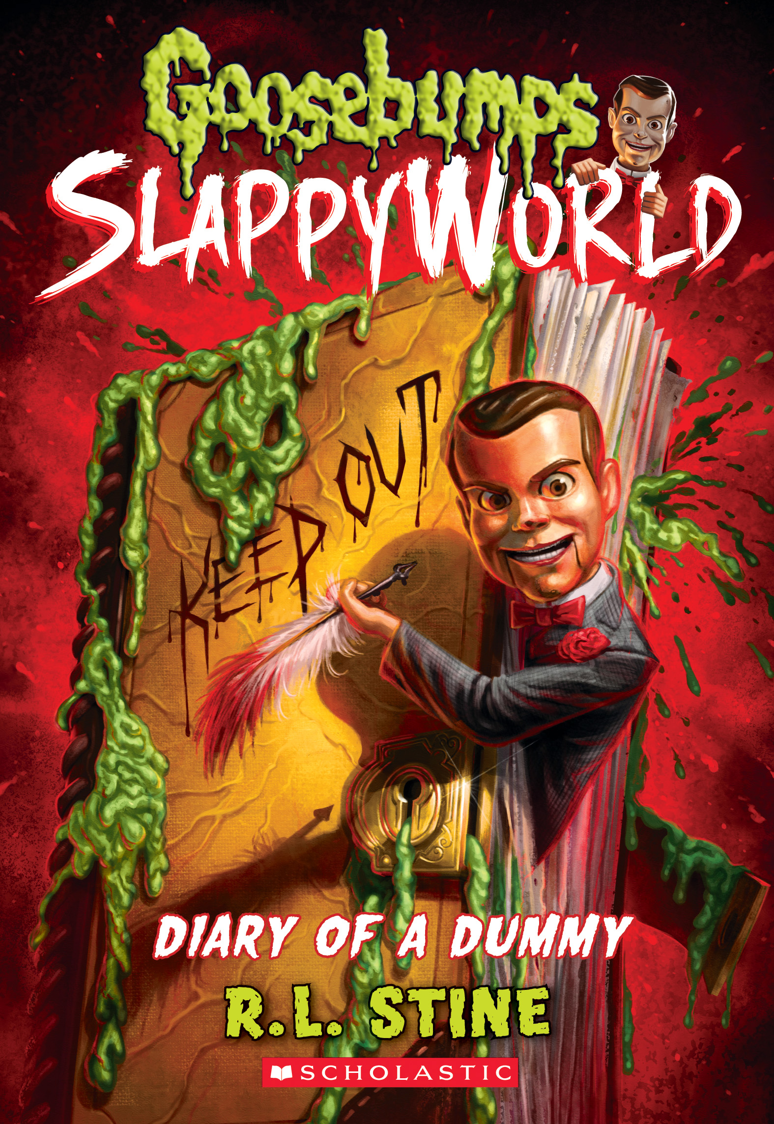 Diary of a Dummy book cover