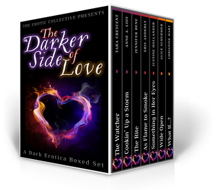 The Darker Side of Love book cover