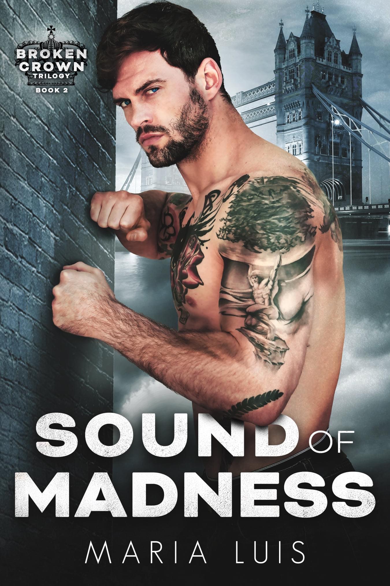Sound of Madness book cover