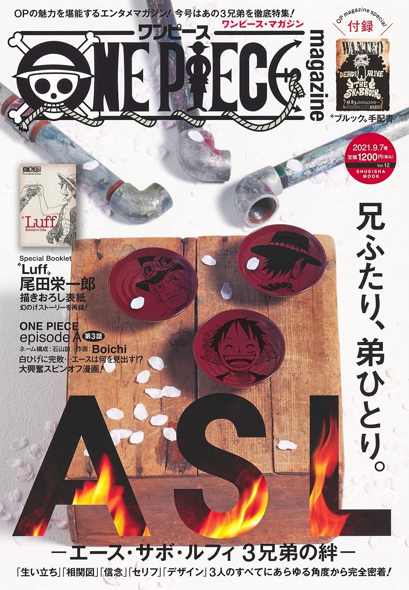 ONE PIECE magazine Vol.12 [Japanese Edition] book cover