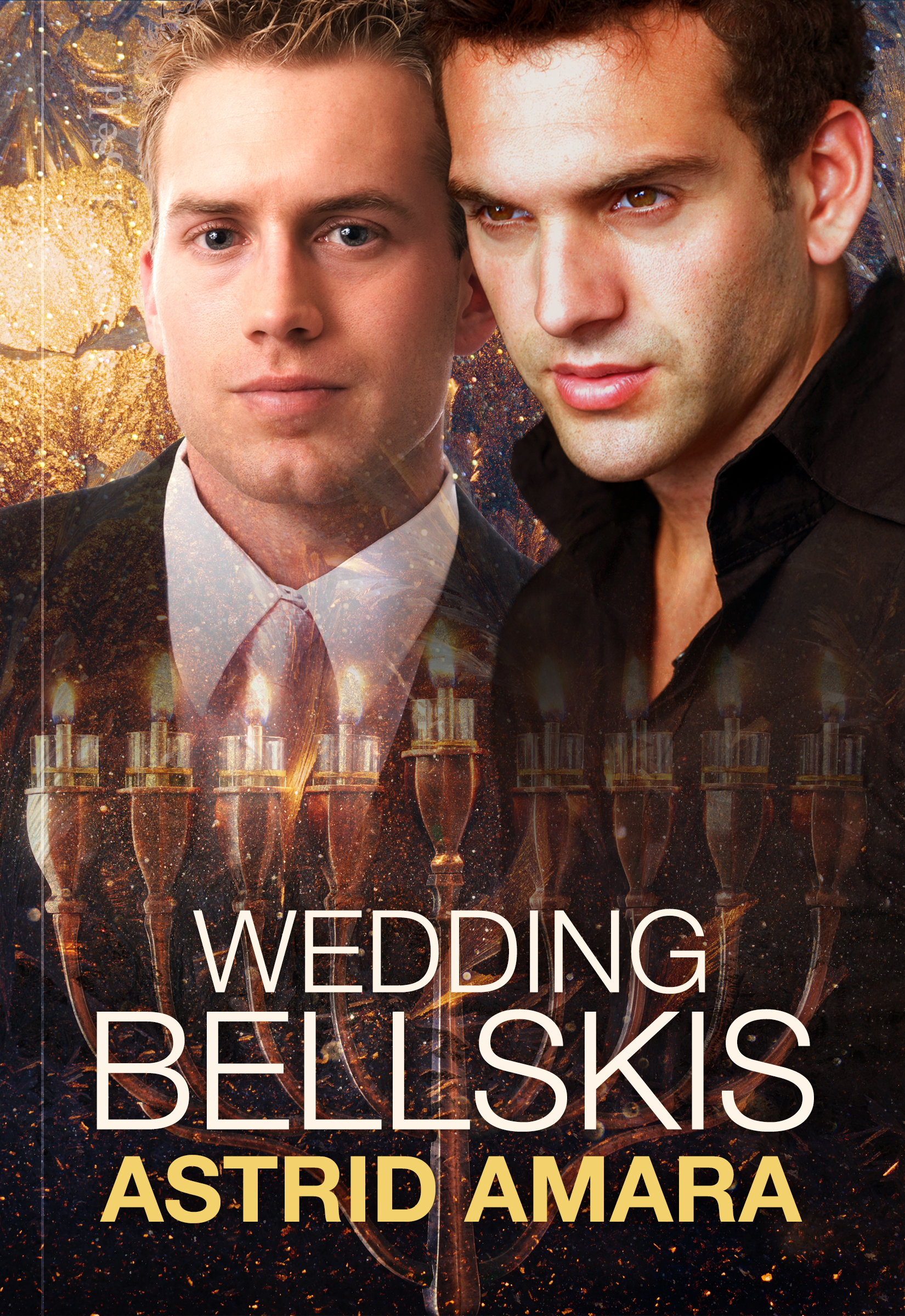 Holidays with the Bellskis book cover 3