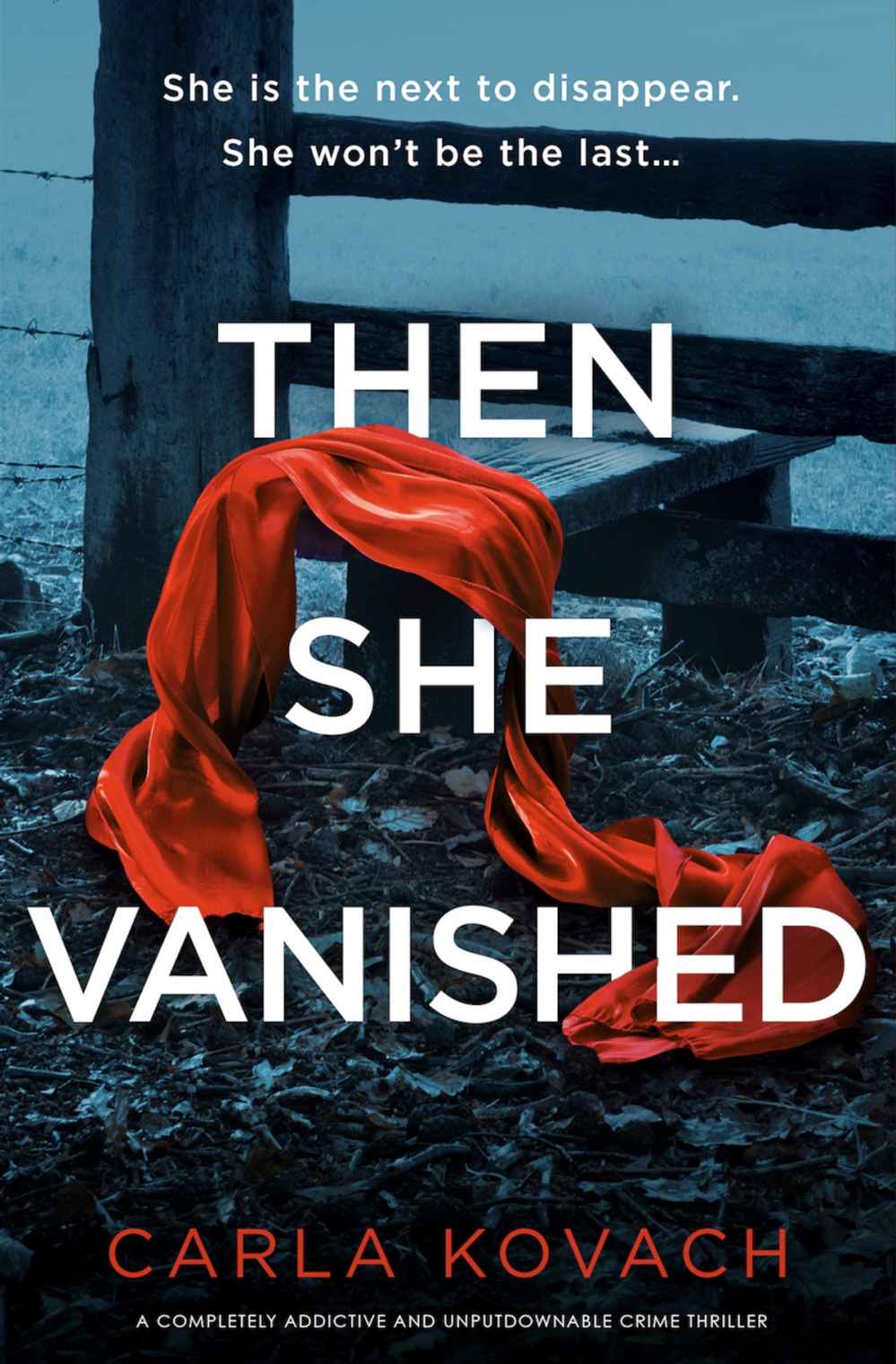 Then She Vanished book cover