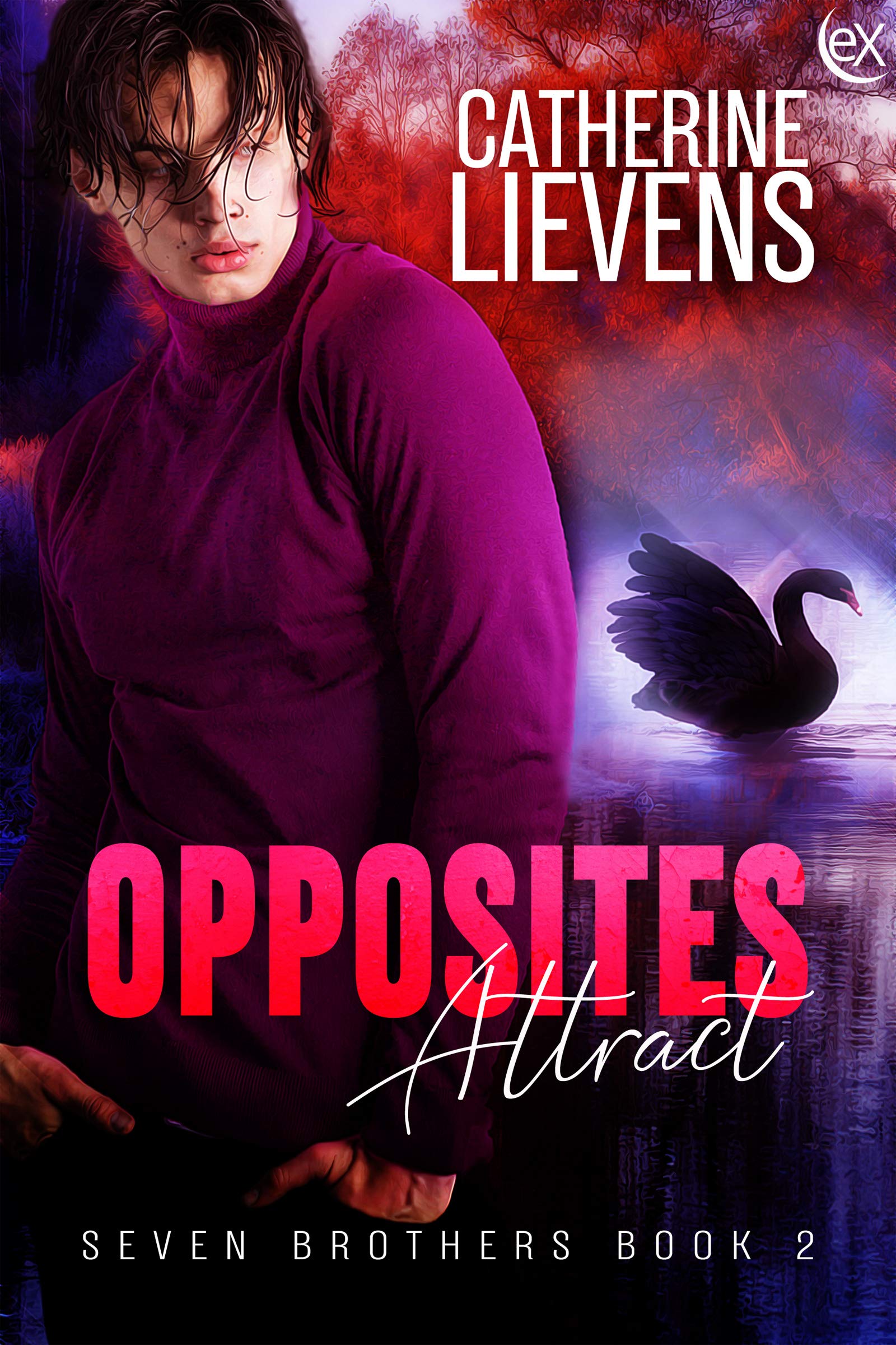 Seven Brothers book cover 2