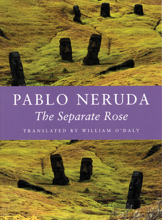 The Separate Rose book cover