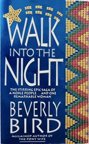 Walk Into the Night book cover
