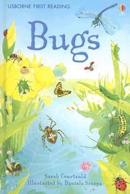 Bugs book cover