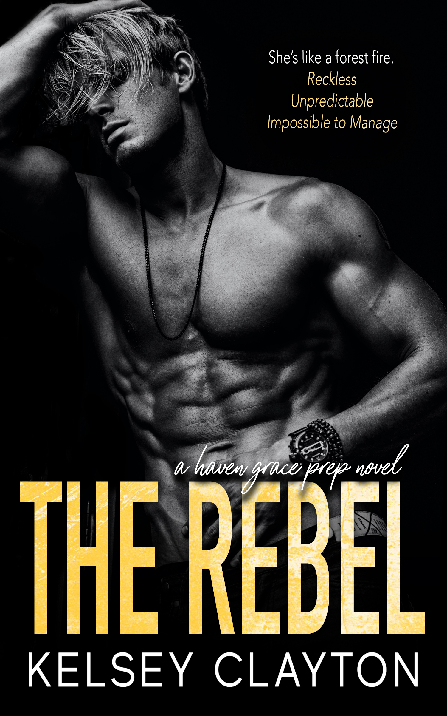 Haven Grace Prep book cover 3