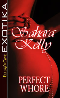 Perfect Whore book cover