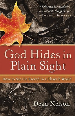 God Hides in Plain Sight book cover