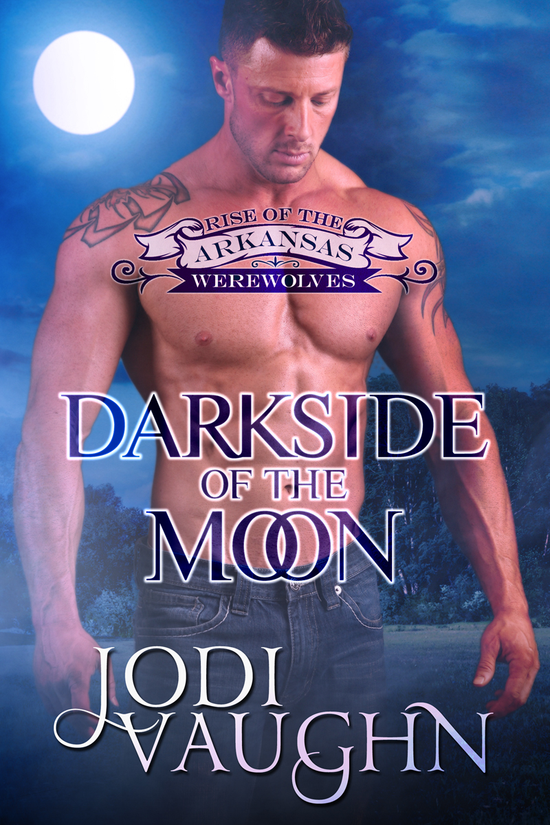 Darkside of the Moon book cover