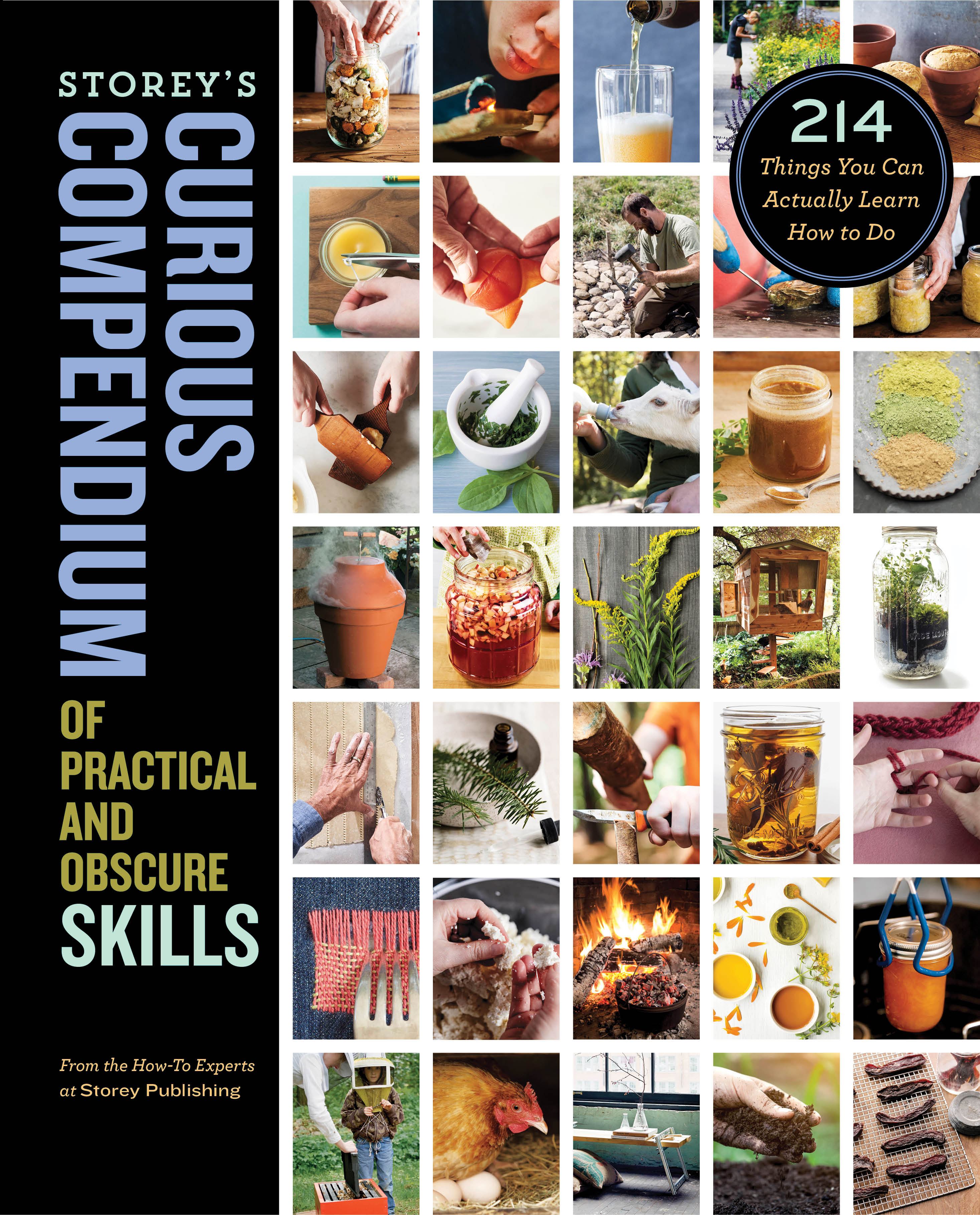 Storey's Curious Compendium of Practical and Obscure Skills book cover