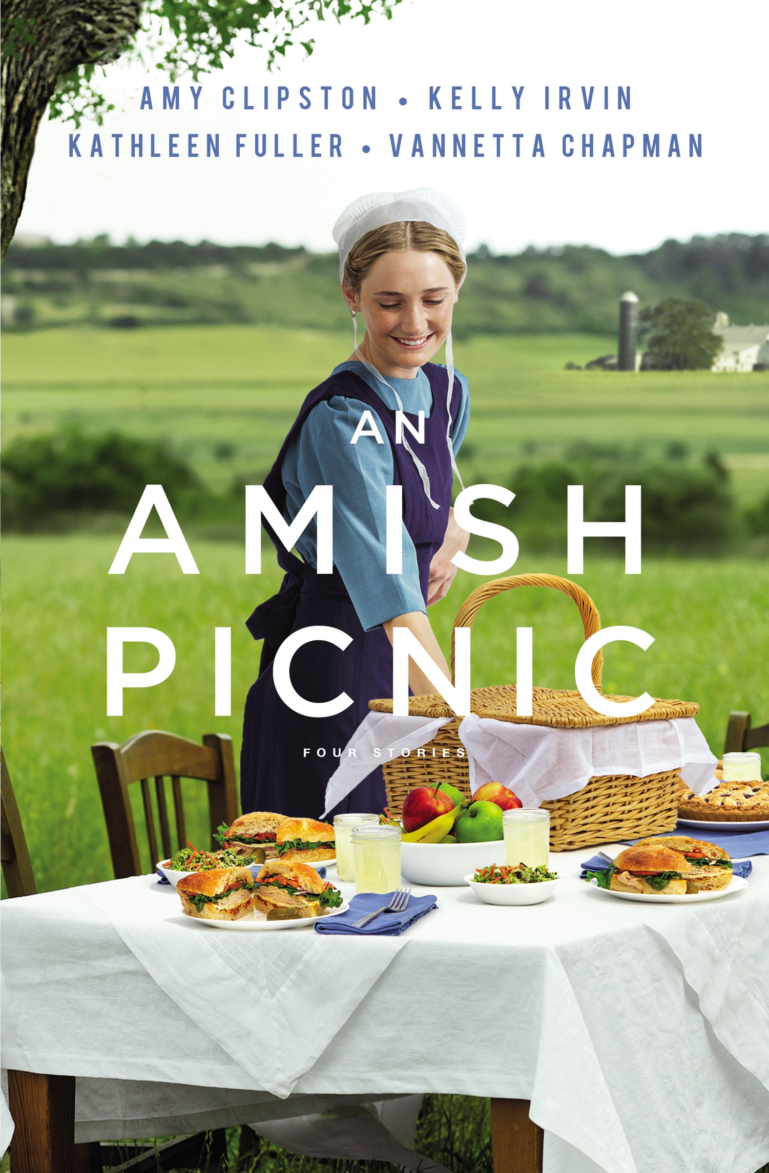 An Amish Picnic book cover