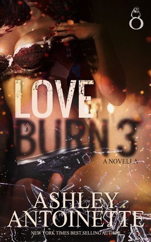 Love Burn Series book cover 3