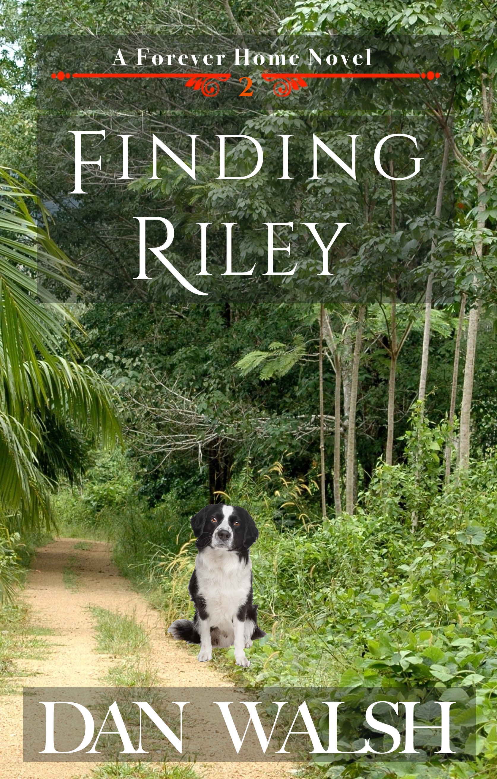 Finding Riley book cover