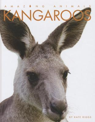 Kangaroos book cover