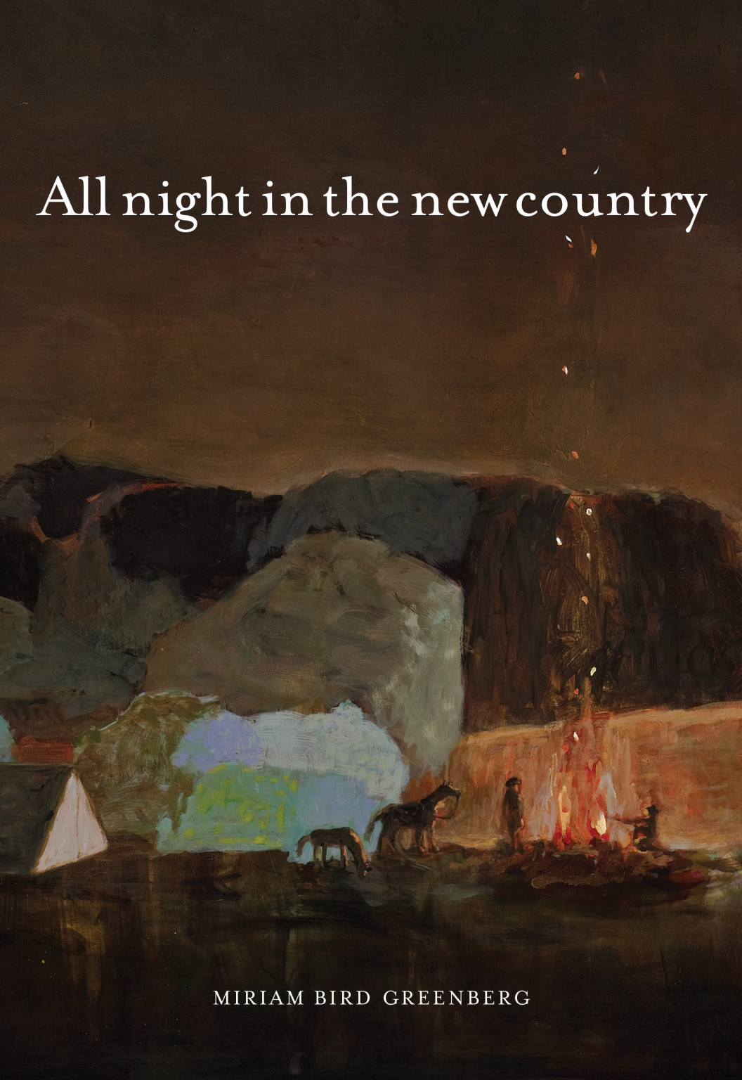All night in the new country book cover