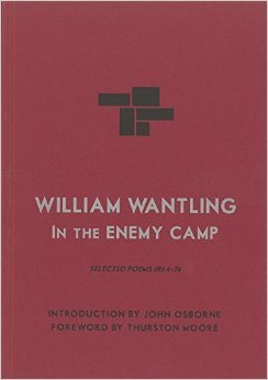 In The Enemy Camp. Selected Poems 1964-74 book cover