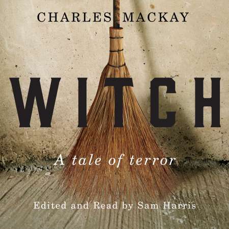 Witch book cover