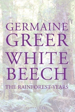 White Beech book cover