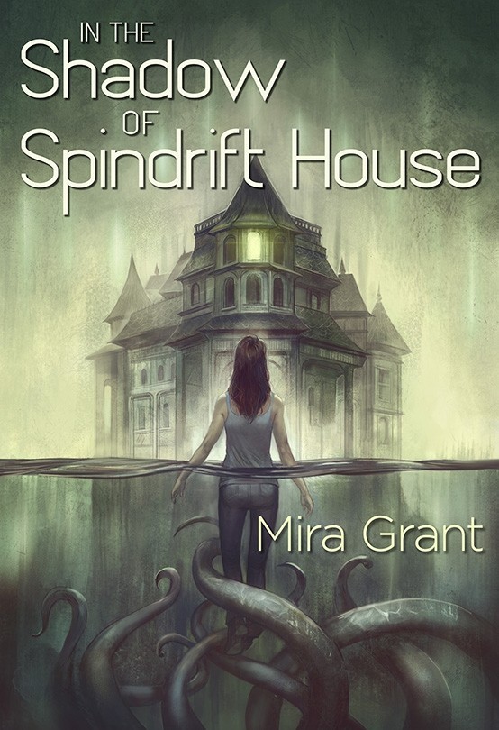 In the Shadow of Spindrift House book cover