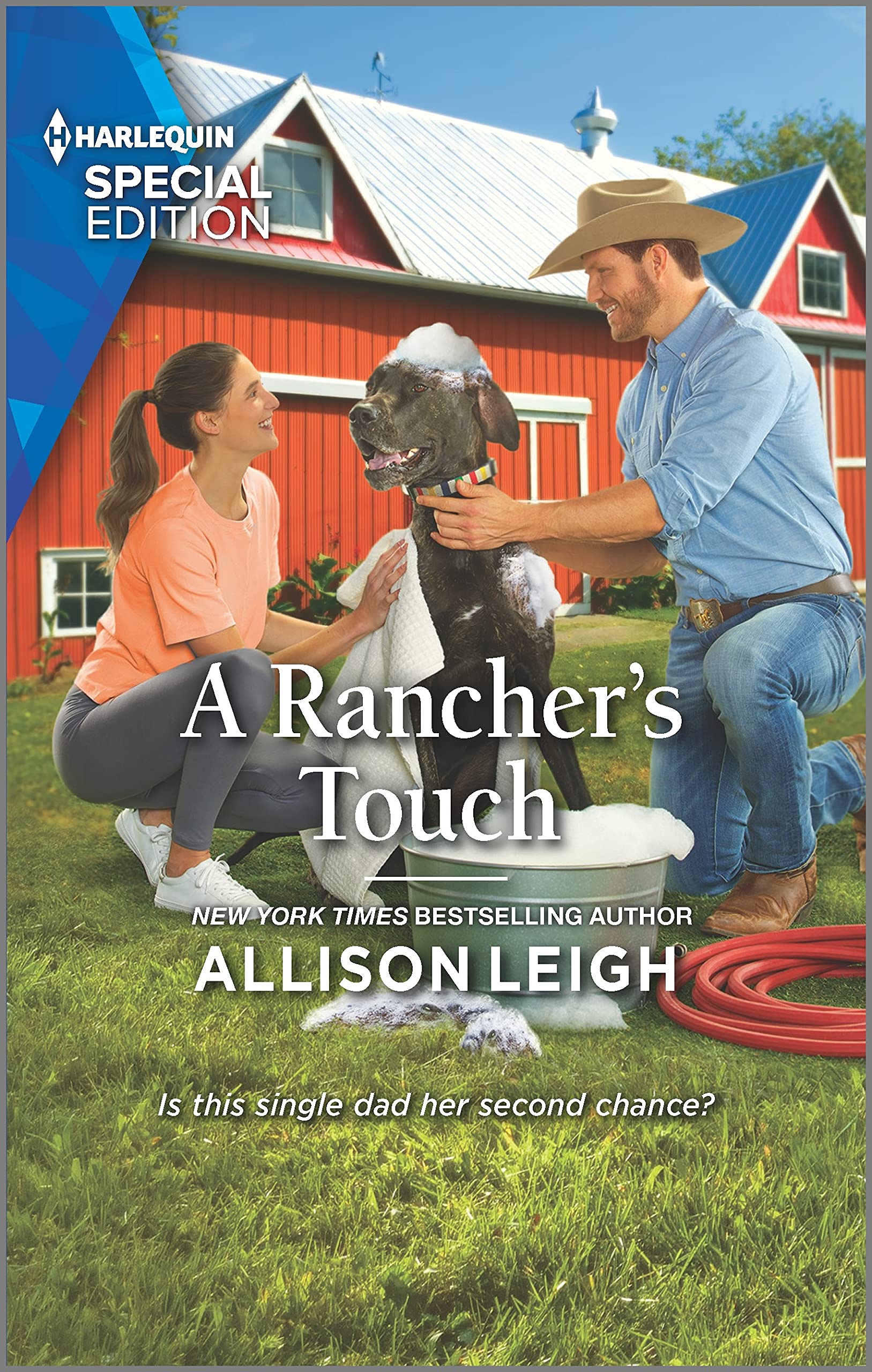 A Rancher's Touch book cover