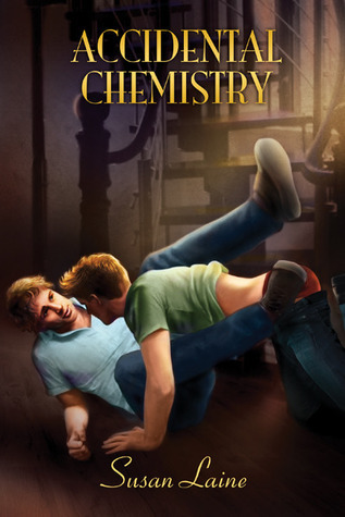 Second Chances book cover 2