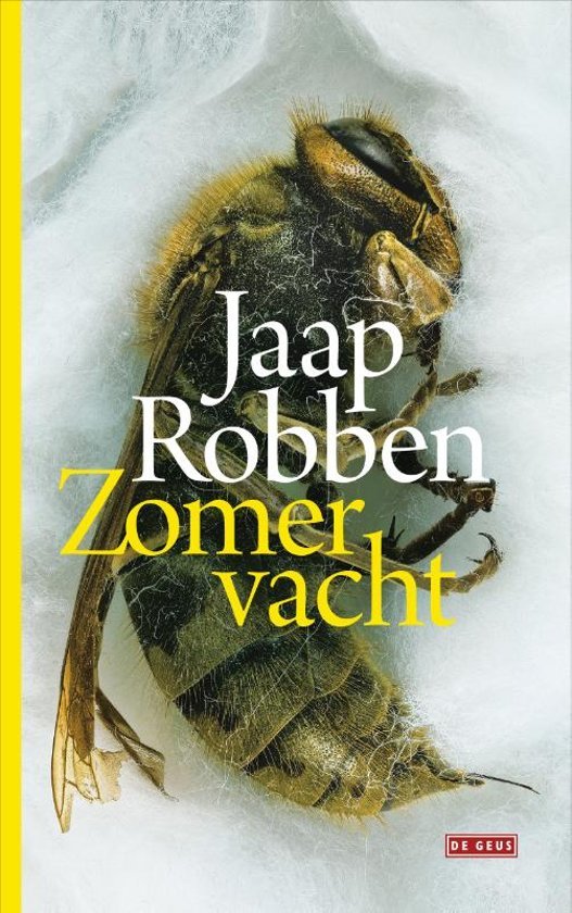 Summer Brother book cover