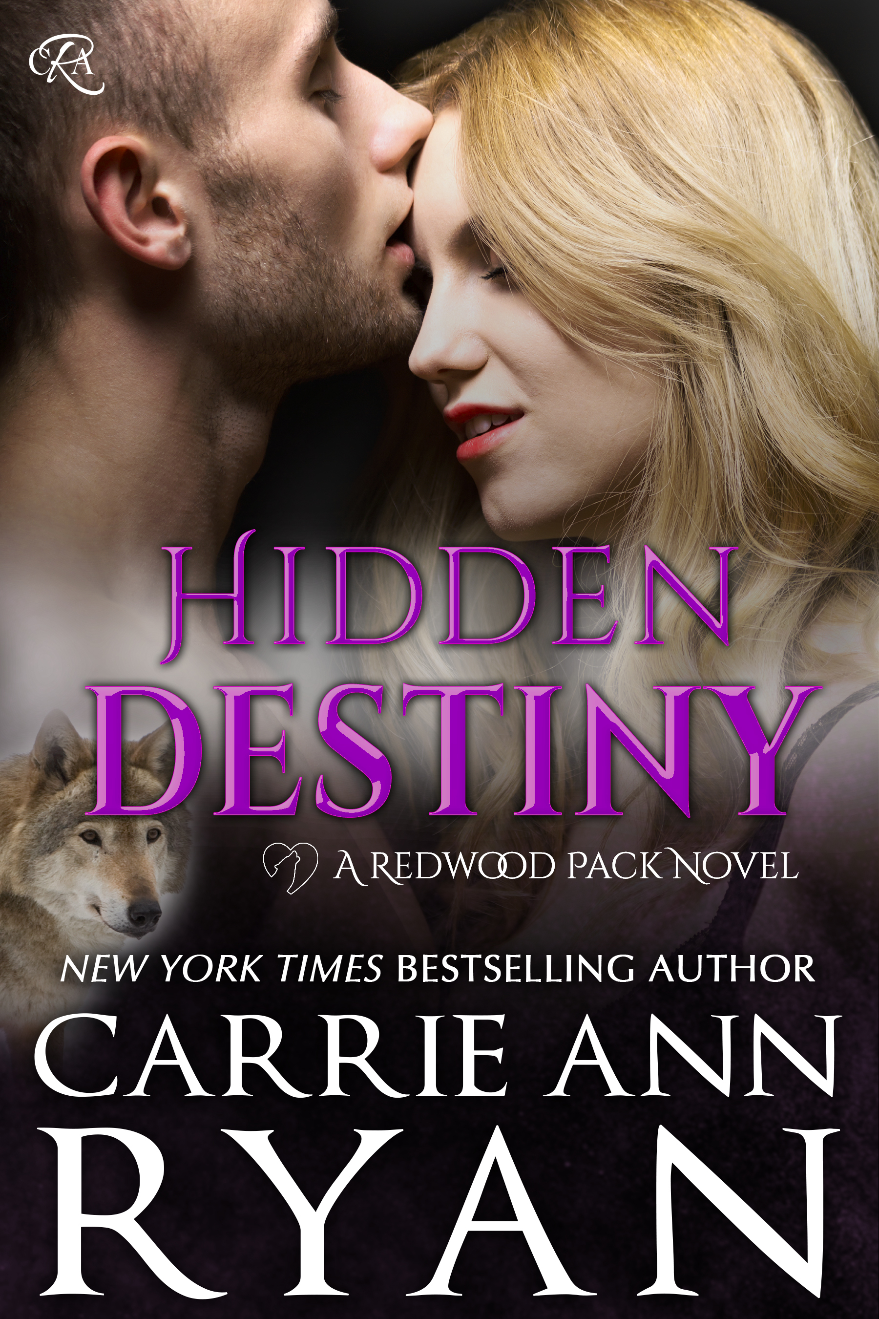 Hidden Destiny book cover