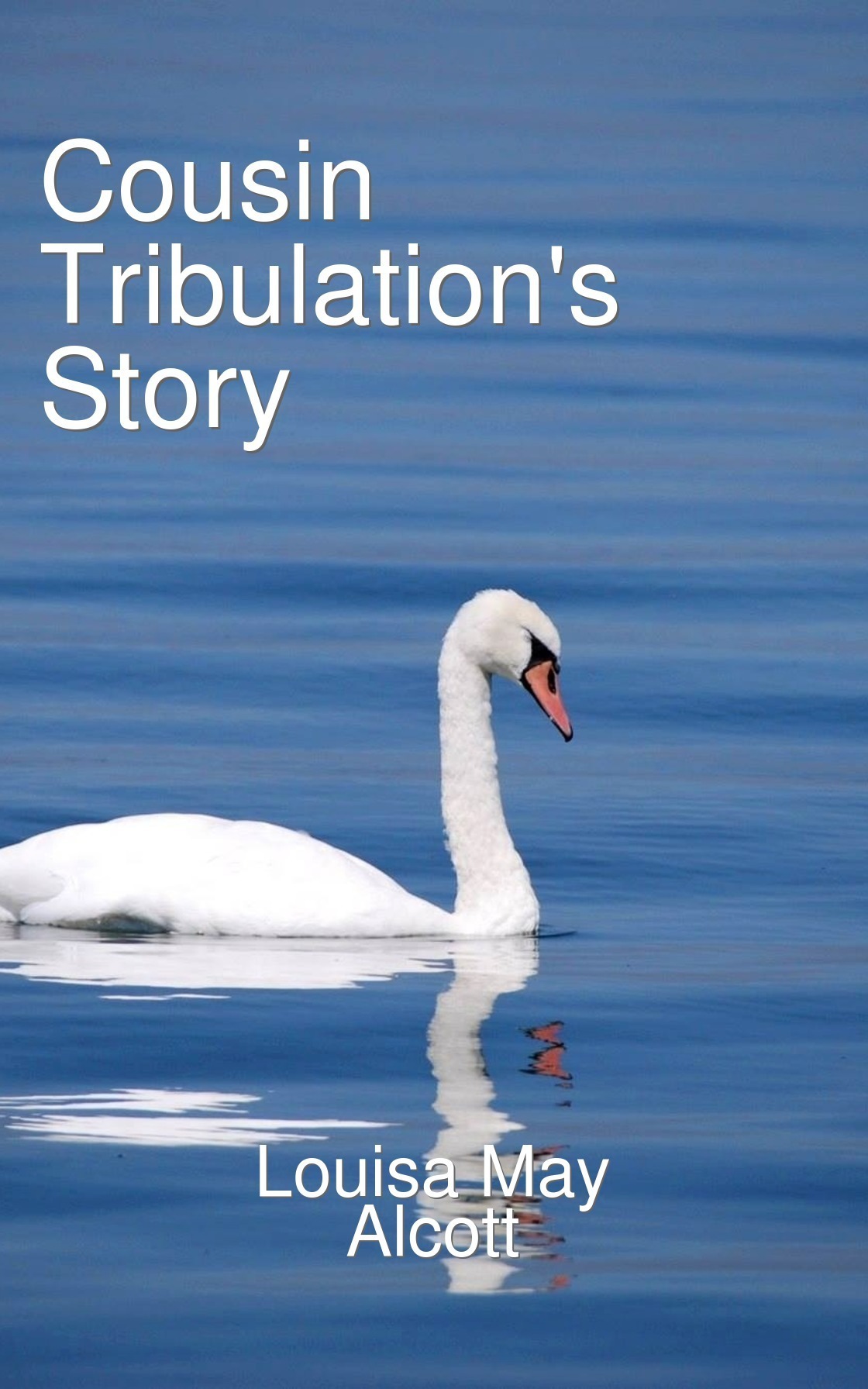 Cousin Tribulation's Story book cover