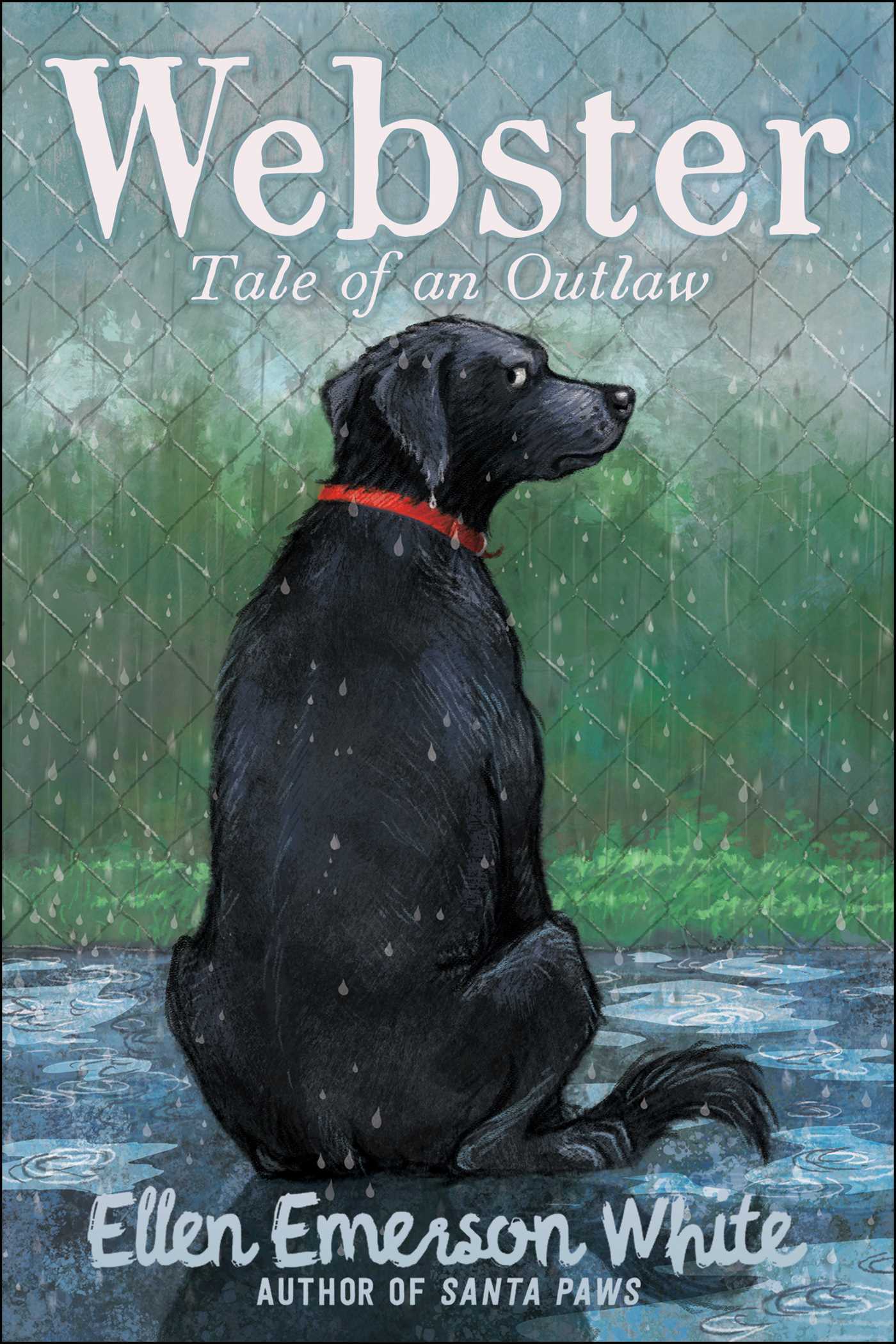 Webster book cover